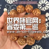 世界杯官网:省委第二巡视组进驻南林大开展巡视工作(图4) FIFA世界杯