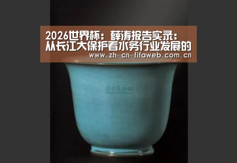 2026世界杯:薛涛报告实录:从长江大保护看水务行业发展的困局和破局(图2) FIFA世界杯